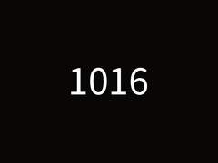 1016