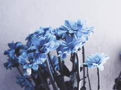 [류노스케] 2020.10.12 HAPPY BIRTHDAY