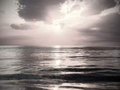 [웬슬] 비포 선라이즈 (for. 곰곰님)