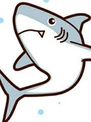 말하는 상어 처음이신가요?