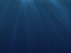 굳이? 응, 굳이.