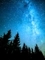 [밤텬]Moonlight RPG!