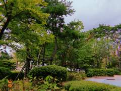 낙태죄 폐지 : 모두가 안전한 임신중단을 할 수 있도록