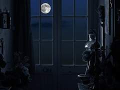 자캐정리 • 독자적 세계관