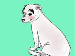 09. 퍼포먼스 메모리즈(전)