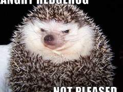 [스토니/스팁토니] 기묘한 동거