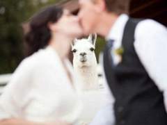 [셈한] 창문을 크게 열어젖혔다.