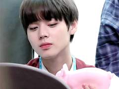 워너원 커플링 씨피 선호도조사 2탄 !!