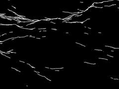 망애(忘愛) - 上