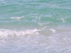 好きになっちゃうだろう？