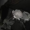 항간에 떠도는 이야기들