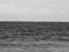 그것만은 잊어도 돼