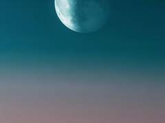 개인 이미지 작업물은 주로 사이트로 올라갑니다.