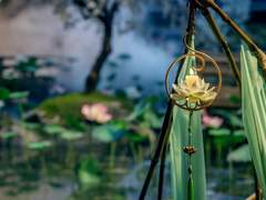 IF : 만약 금릉 만월례 날, 위무선이 죽었다면?