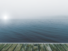 [중혁독자] 사계절의 기록 -秋-