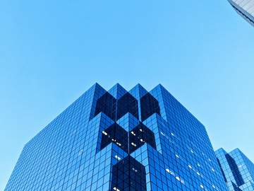 이 회사는 사내연애가 가능한가요? - 完