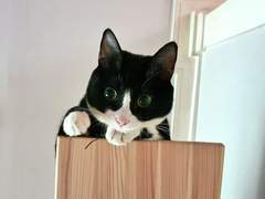 요즘 사는 이야기 2