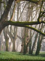 테일 닥터(Tale Doctor)