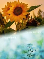 어쩌다 발견한 단편