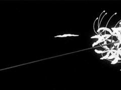 휘 영 / 여와 / TD커 공프