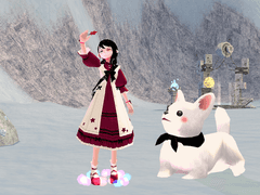 - 코기와의 에린 여행