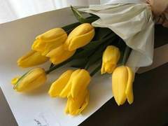 R_HELLOVE | prologue