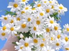 초가을은 늦여름의 유의어