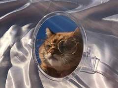 임티 커미션 ⟪ 닫았습니다 ⟫