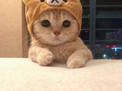 사람은 참 좋은데, 넌 매력이 없어.