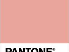 [채햄] 너디 러브 Take 5