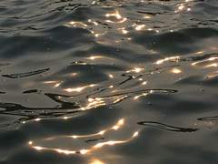 사랑하는 사람의 바다에선 익사하지 않고