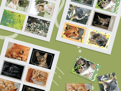 우표 컨셉 파일 공유