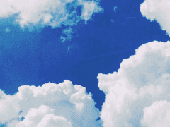 나 박동하는 심장이 두려워서