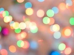 푸른 장미 한 송이와 책 한 권