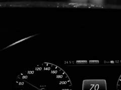 날지 못하는 것이 개의 불행은 아니다 一