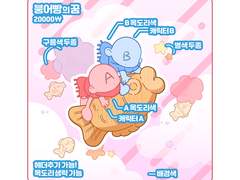 🍞 붕어빵의 꿈 🍞