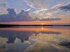 롤링페이퍼 #24 - 자연물