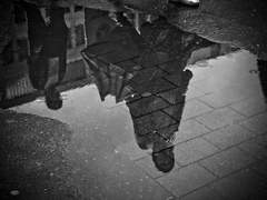 (작성중) [캣버그] Don't Know