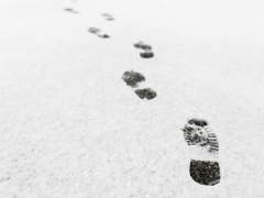 크렉트윅-The Tweaks