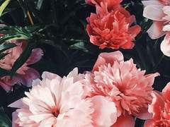 온 세상의 빛을 끌어모아.