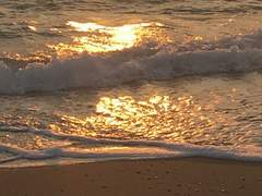 [영필] kitty loves bunny