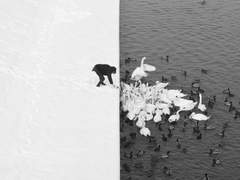 위대한 무력한 1화