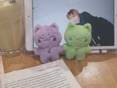 ❝CLOSED❞ HARIBO CAT