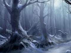 우리는 대체 무엇을