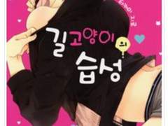 길고양이의 습성