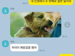 [경문승효] 저녁이 예방접종