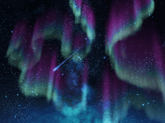 Taxe 오로라 브러쉬 Set