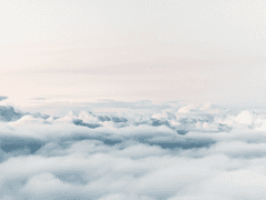 1st. 바람은 나뭇잎을 흔들고