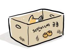 고양이 형아 -왜 고양이 이름이 지민이 형이야?-