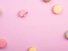 Welcome to 순 나무 숲!